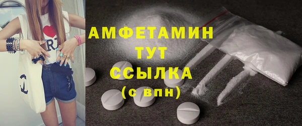 прущие грибы Беломорск