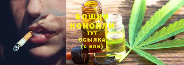 кокс Белокуриха