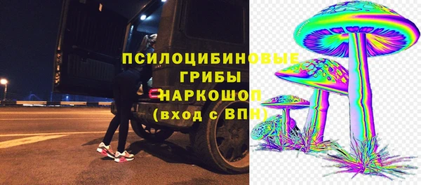 прущие грибы Беломорск