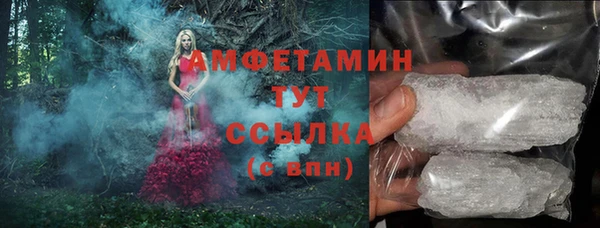прущие грибы Беломорск