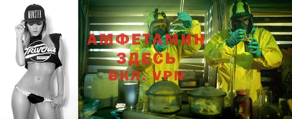 прущие грибы Беломорск